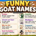 200+ Top Funny Goat Names for Baby Goats, Boys & Girls