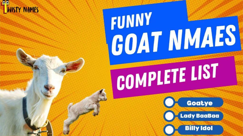 200+ Top Funny Goat Names for Baby Goats, Boys & Girls