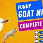200+ Top Funny Goat Names for Baby Goats, Boys & Girls