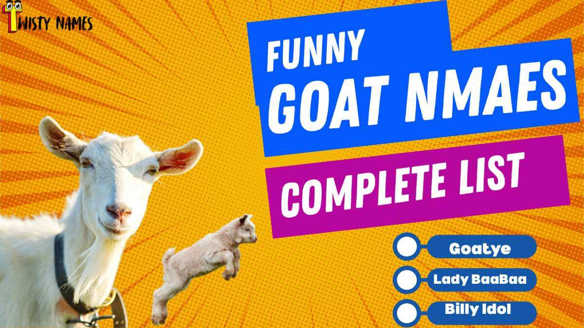 200+ Top Funny Goat Names for Baby Goats, Boys & Girls