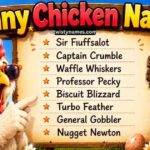 Best Funny Chicken Names: 200+ Hilarious, Cute & Creative Ideas for Every Flock