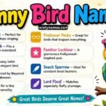 Funny Bird Names: 180+ Hilarious & Silly Ideas for Every Pet Bird