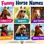 Funny Horse Names: 150+ Hilarious, Punny & Race-Night Ideas