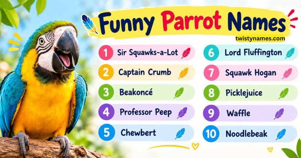 Funny Parrot Names: Hilarious Ideas for Your Feathered Friend