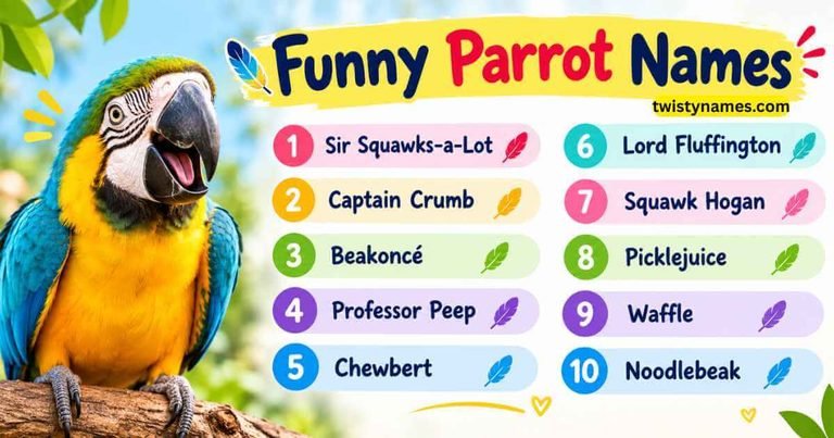 Funny Parrot Names: Hilarious Ideas for Your Feathered Friend